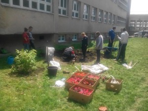 пракса