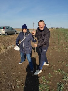 drvo1